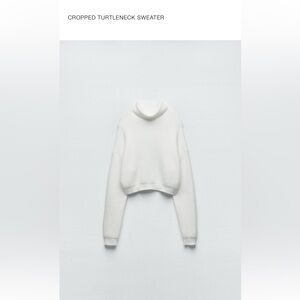 Zara cropped turtle neck sweater 
Great condition, work once